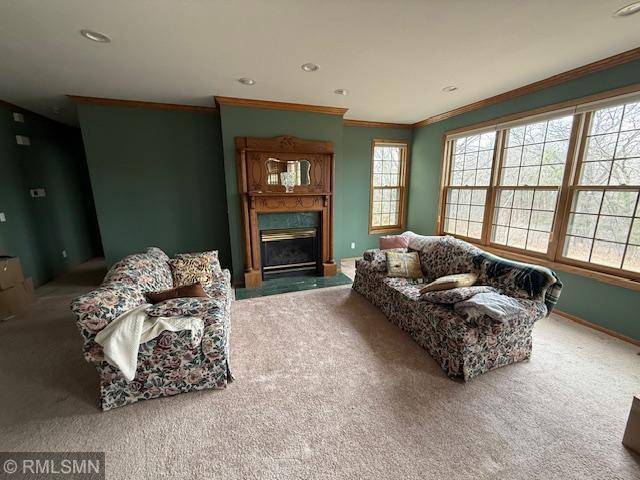 13019 296th AVE NW, Baldwin Twp, MN 55371