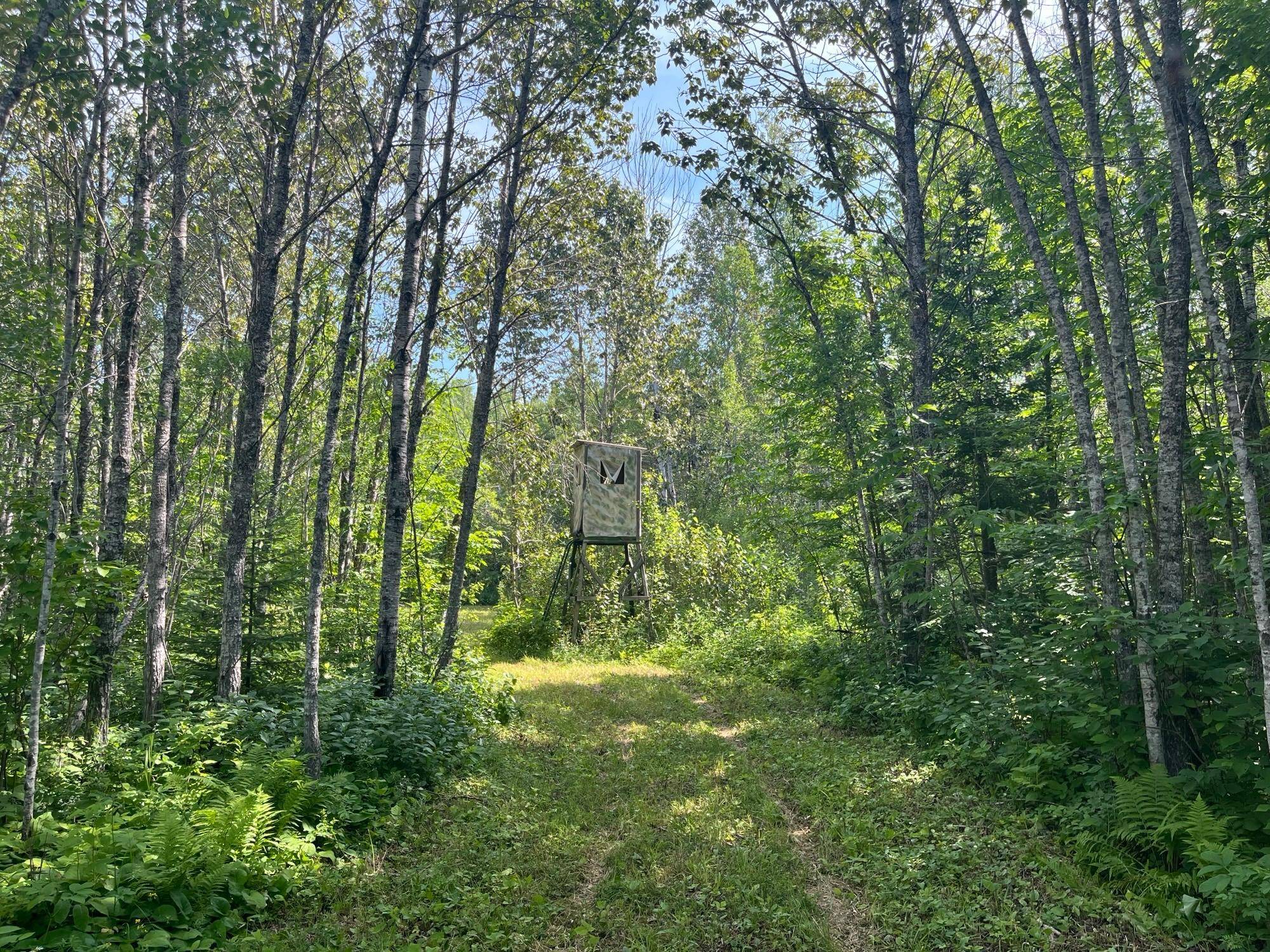 1961 Town Road 118, Birchdale, MN 56629