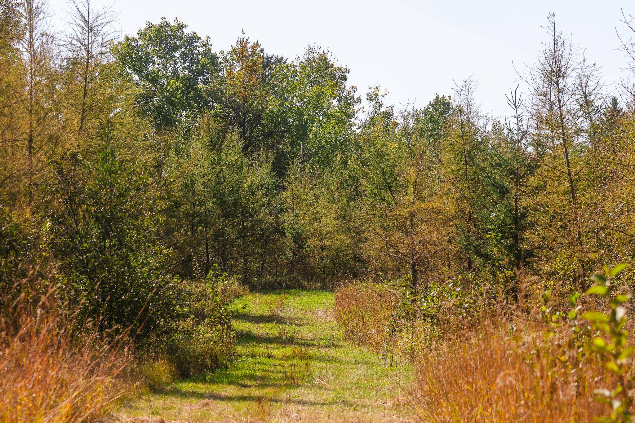 Parcel #3 TBD County 9, Becida, MN 56678