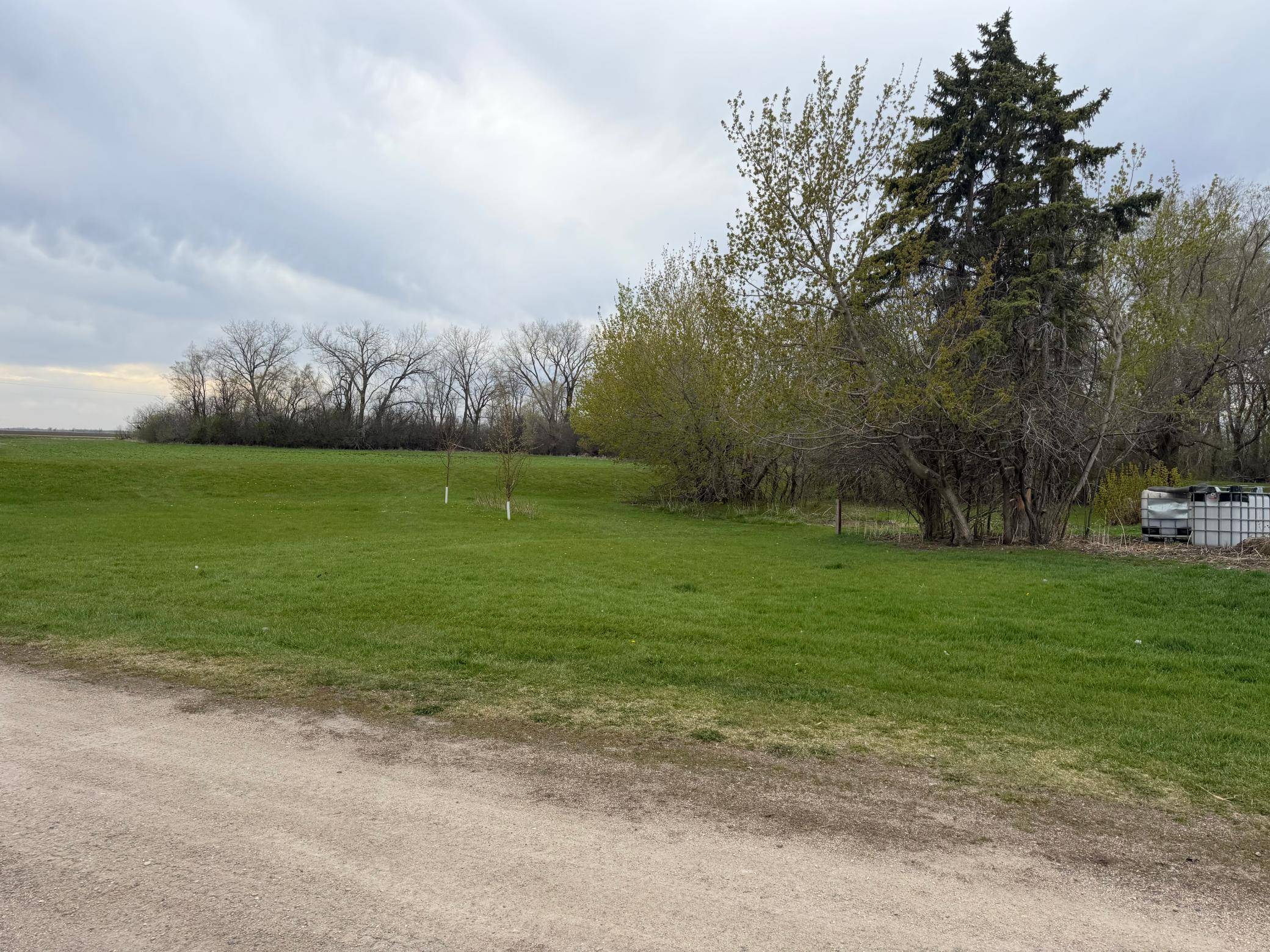 1246 250th ST, Borup, MN 56519