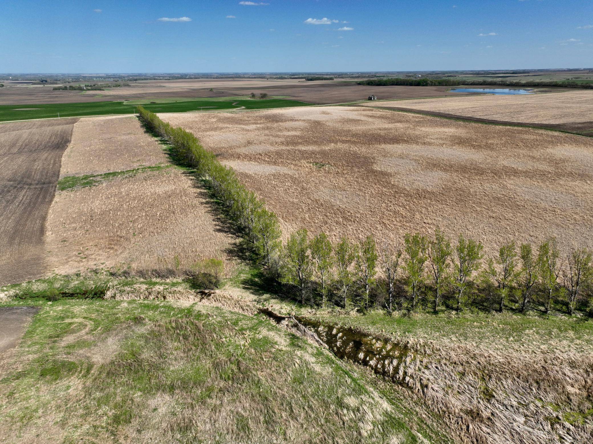 TBD 150th Street, Canby, MN 56220