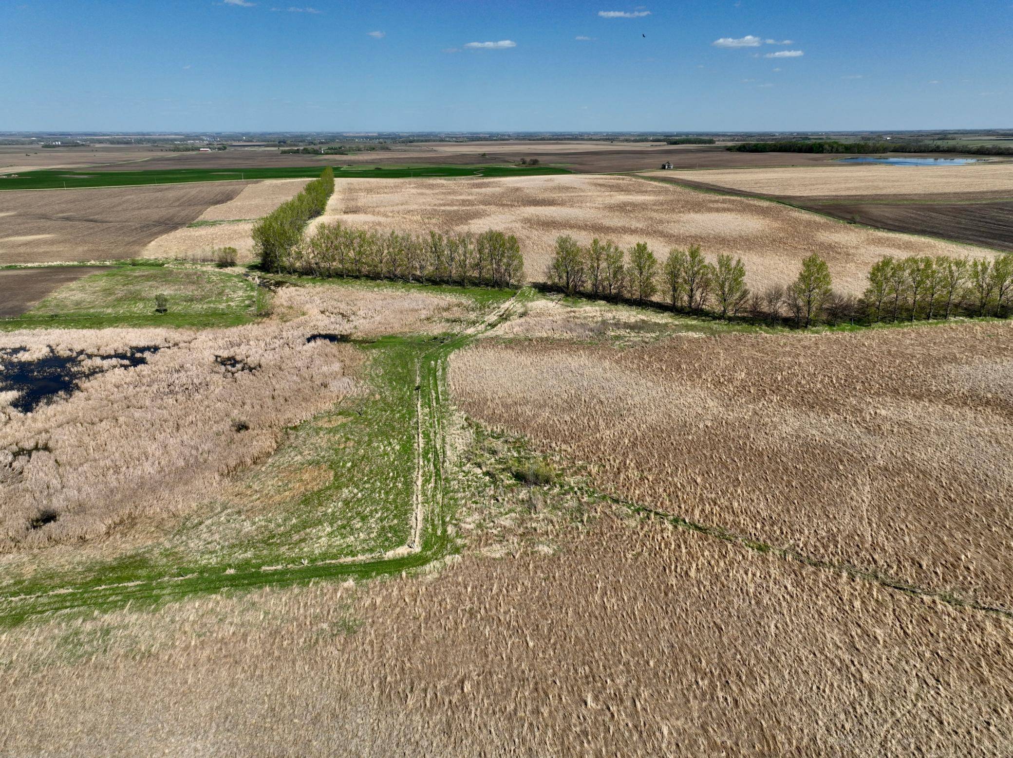 TBD 150th Street, Canby, MN 56220