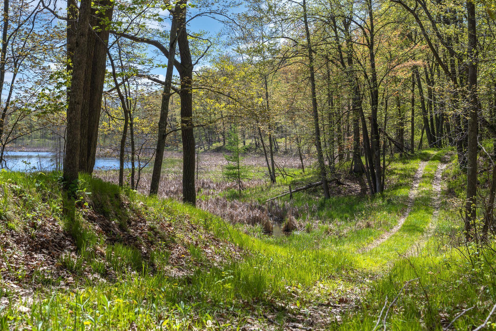 TBD 170th Ave/Cty Rd I, Balsam Lake, WI 54810