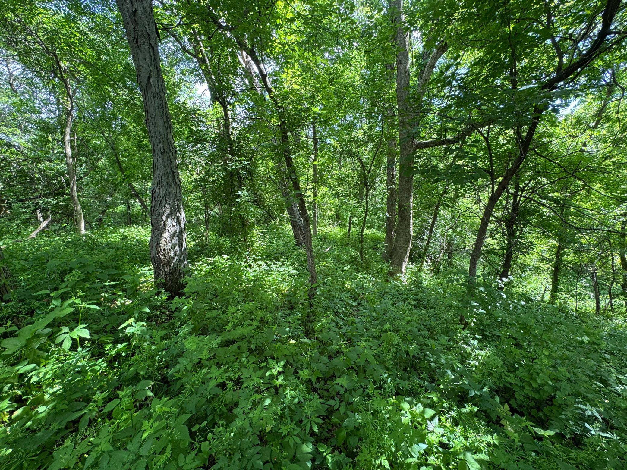 0 County Rd JJ, Arcadia, WI 54612