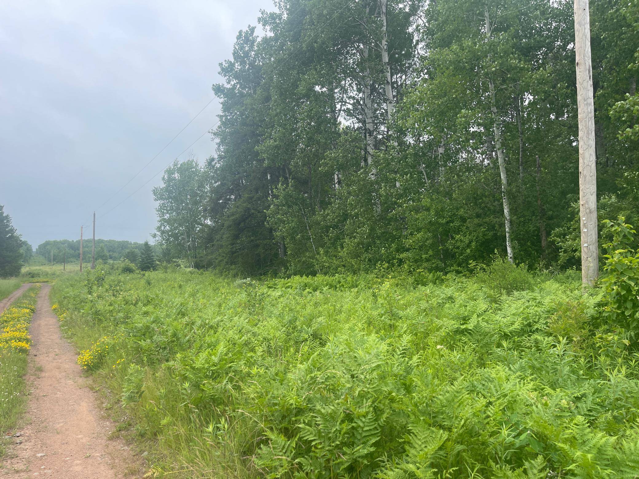 TBD Degerstrom RD, Askov, MN 55704