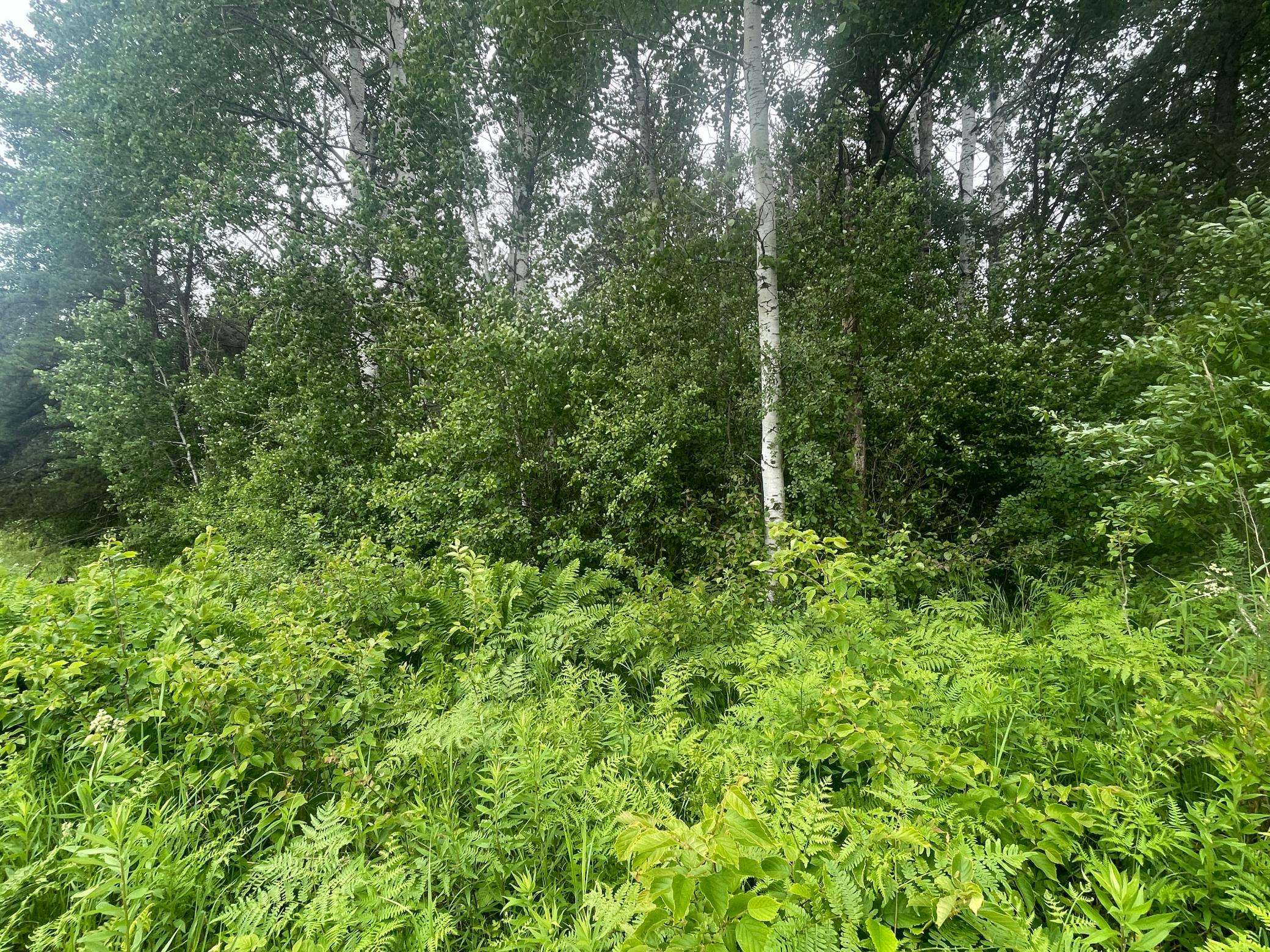 TBD Degerstrom RD, Askov, MN 55704