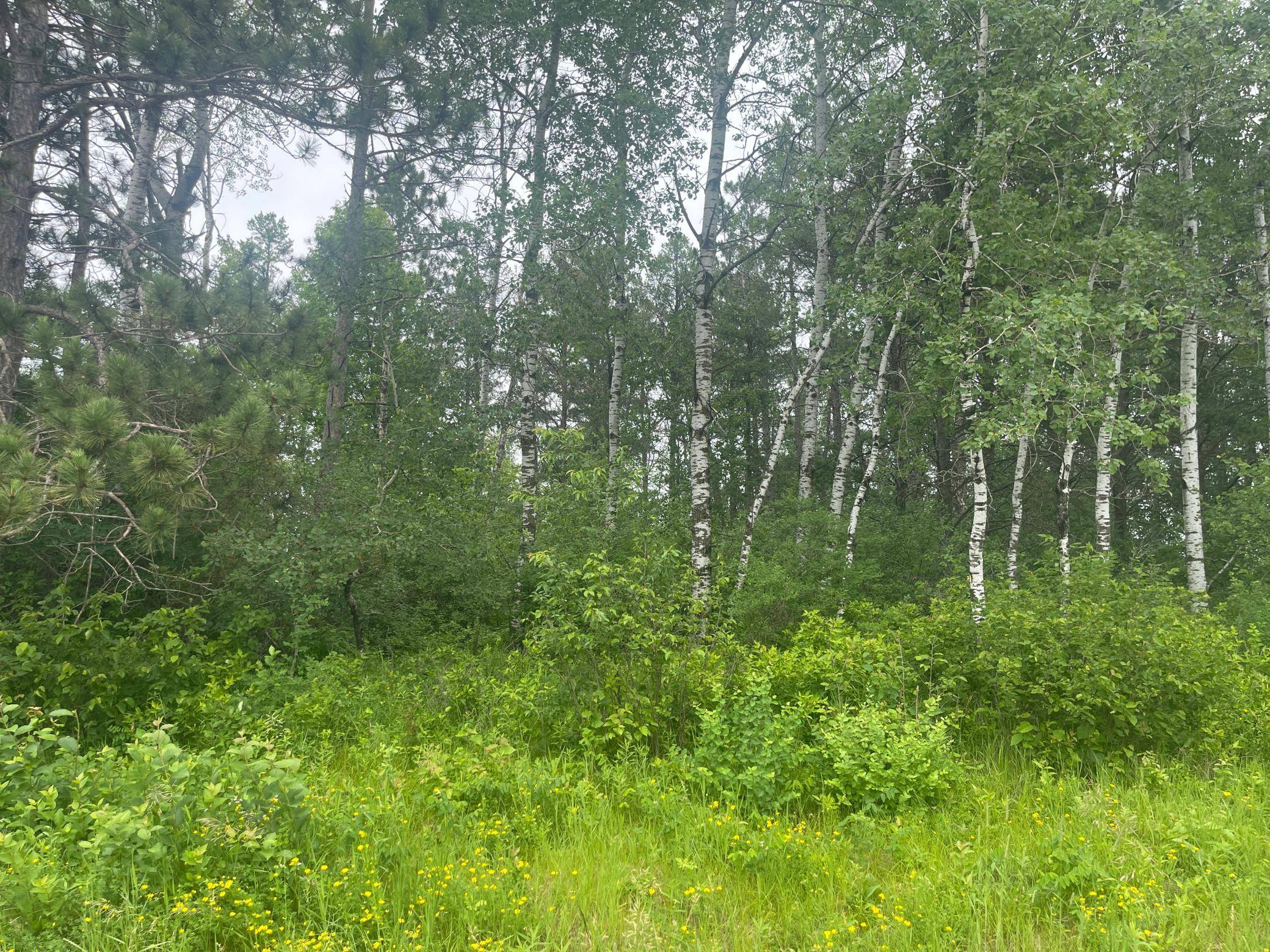 TBD Degerstrom RD, Askov, MN 55704