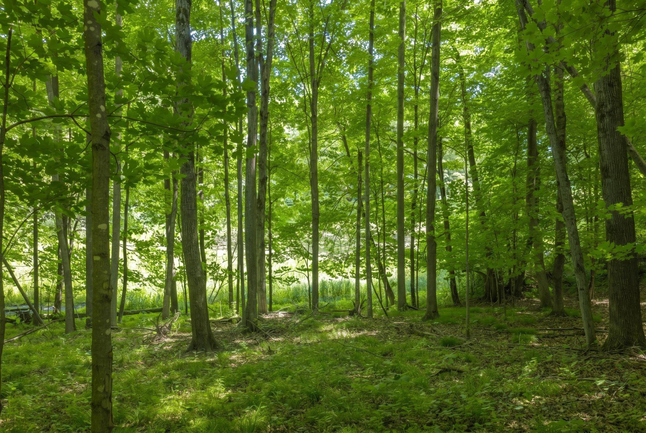 TDB Kemah Park Drive, Balsam Lake, WI 54810