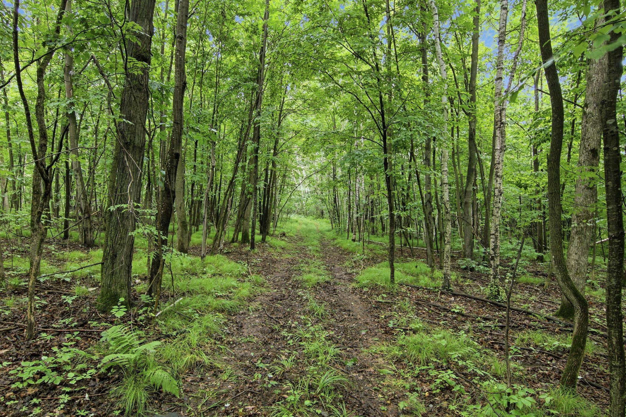 Lot 2 CSM 7522 4th ST, Clayton, WI 54004