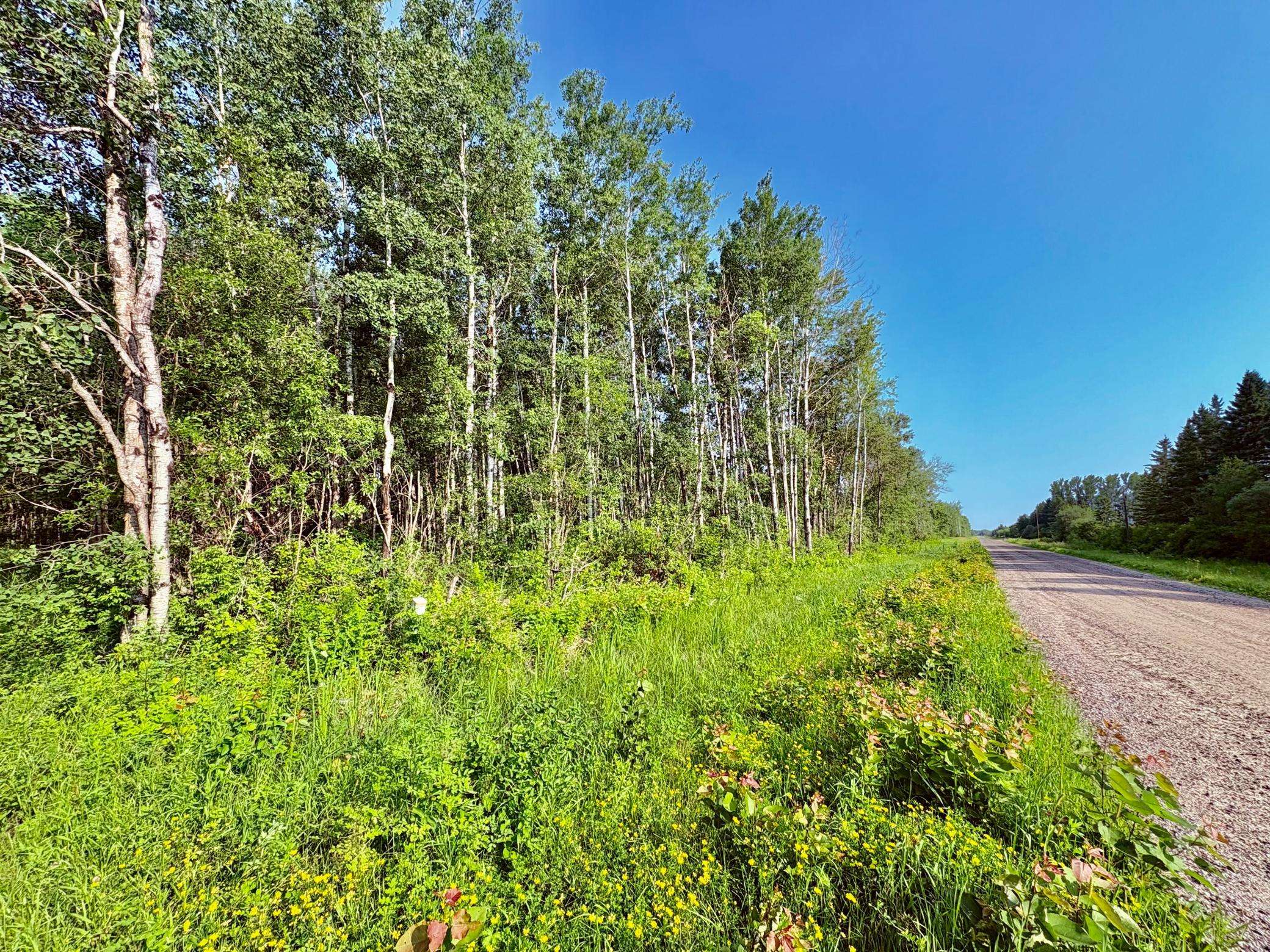 TBD 21st Ave SW, Baudette, MN 56623