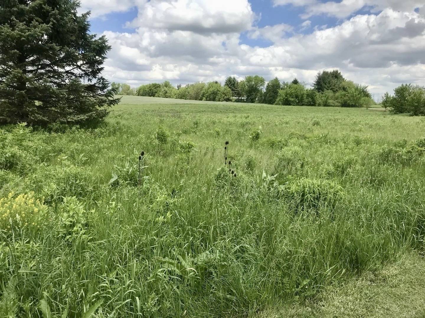 0 Lot 2 Ratfield RD, Marengo, IL 60152