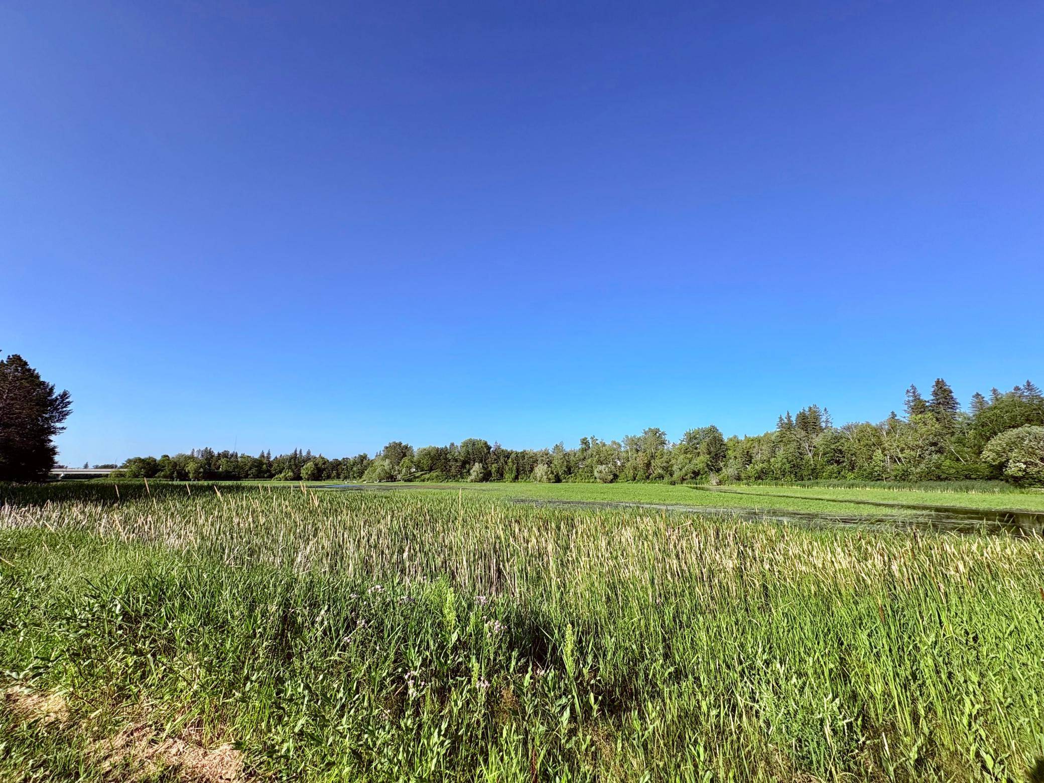 502 1st AVE SE, Baudette, MN 56623