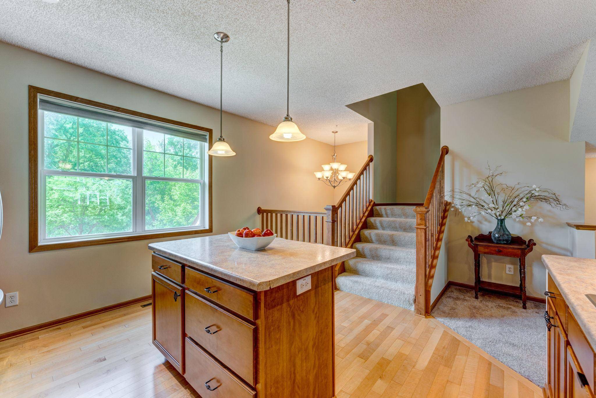 11939 Emery Village DR N, Champlin, MN 55316