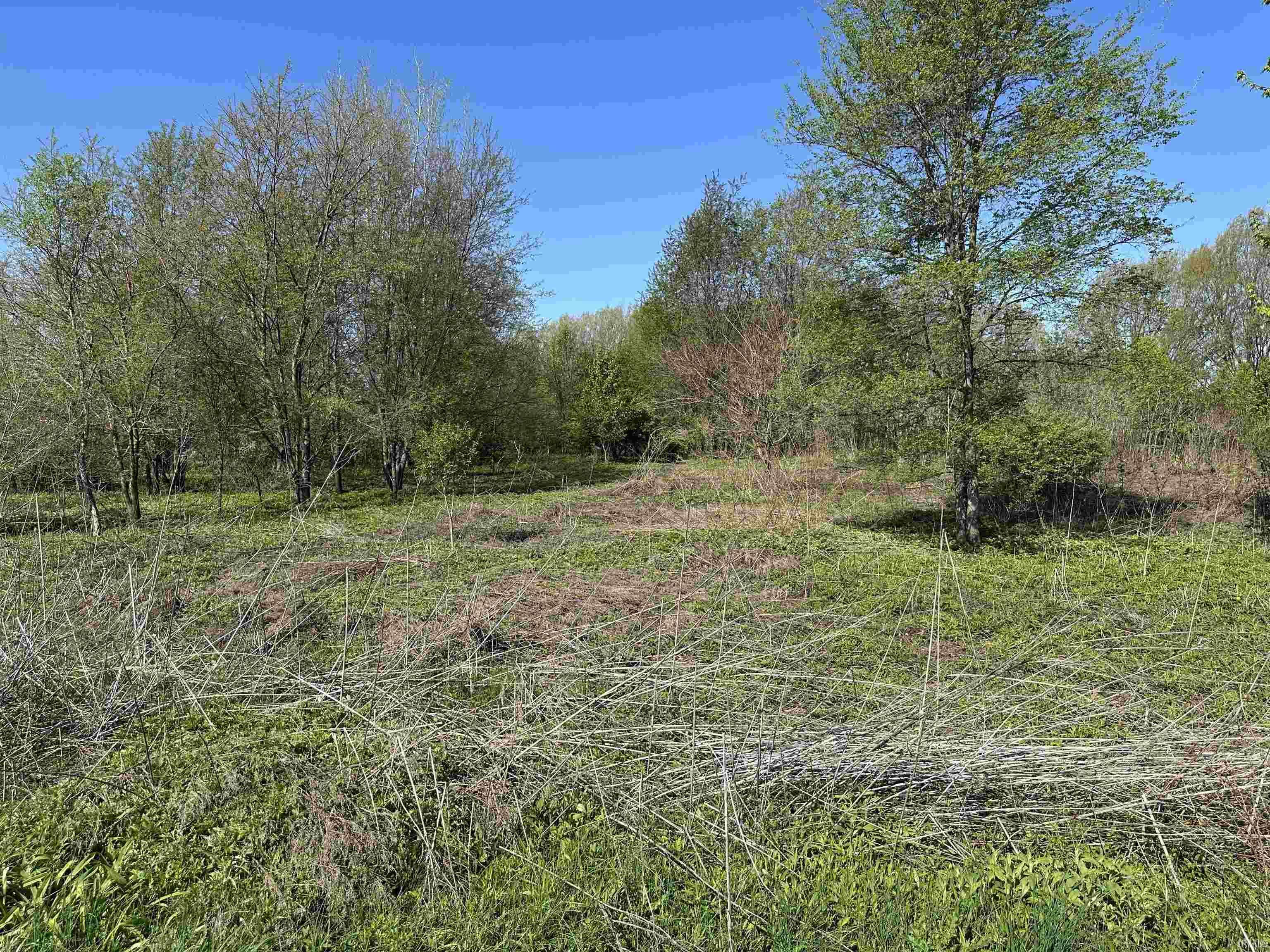 0 US 20 HWY, New Carlisle, IN 46552