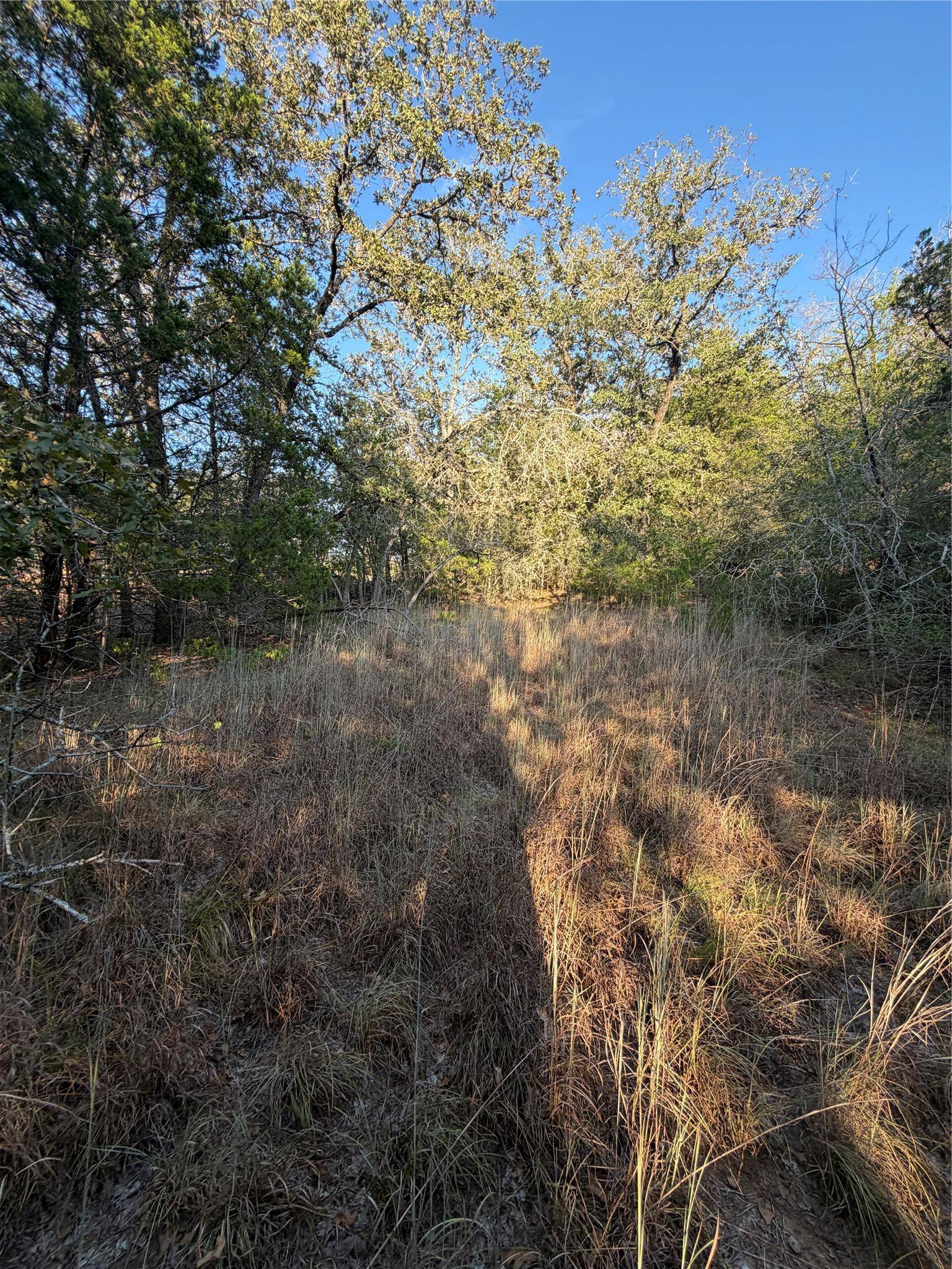 Lot 194 Kaelepulu DR, Bastrop, TX 78602