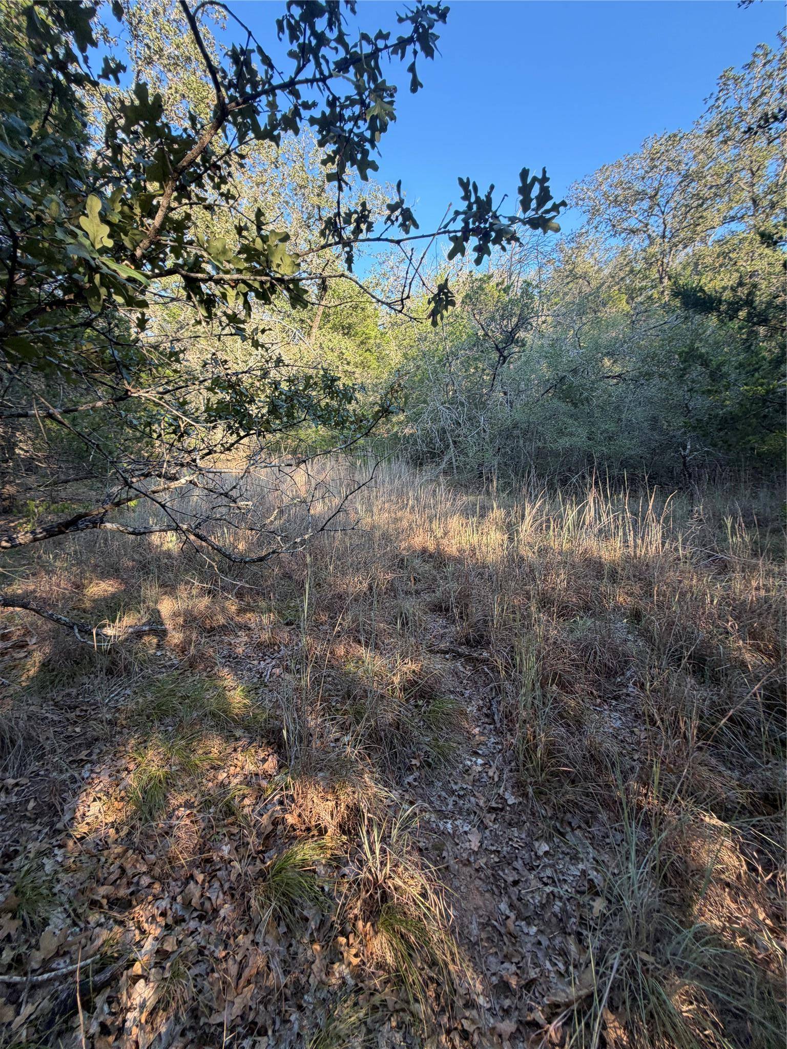 Lot 194 Kaelepulu DR, Bastrop, TX 78602