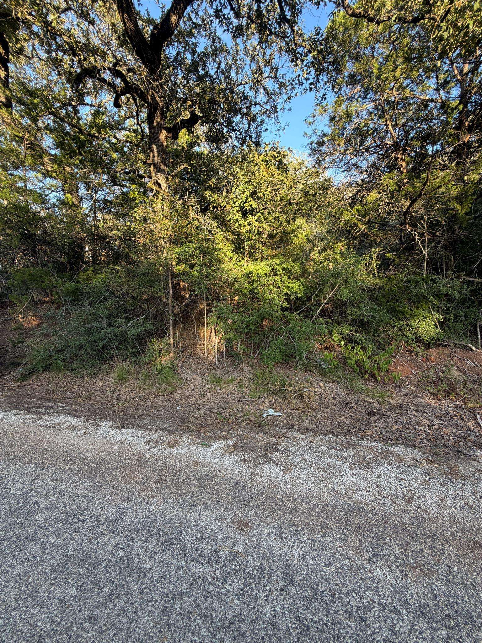 Lot 194 Kaelepulu DR, Bastrop, TX 78602