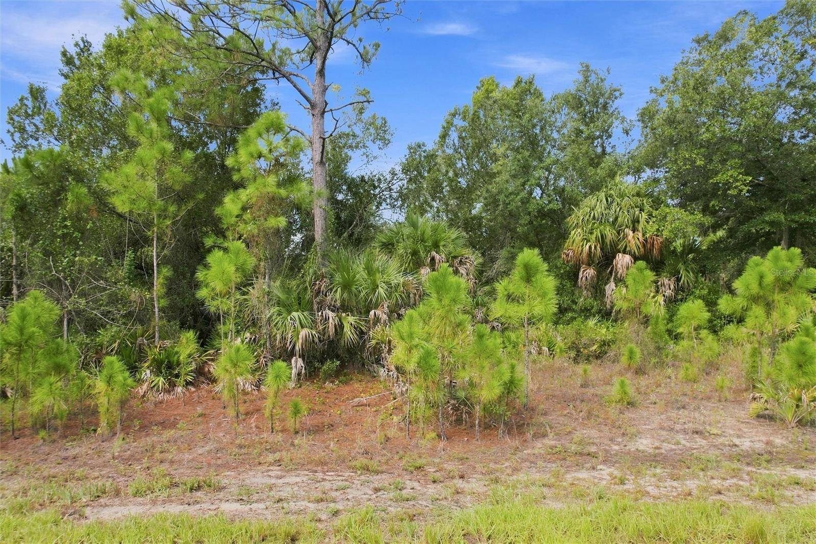 DUNMORE ST, North Port, FL 34288