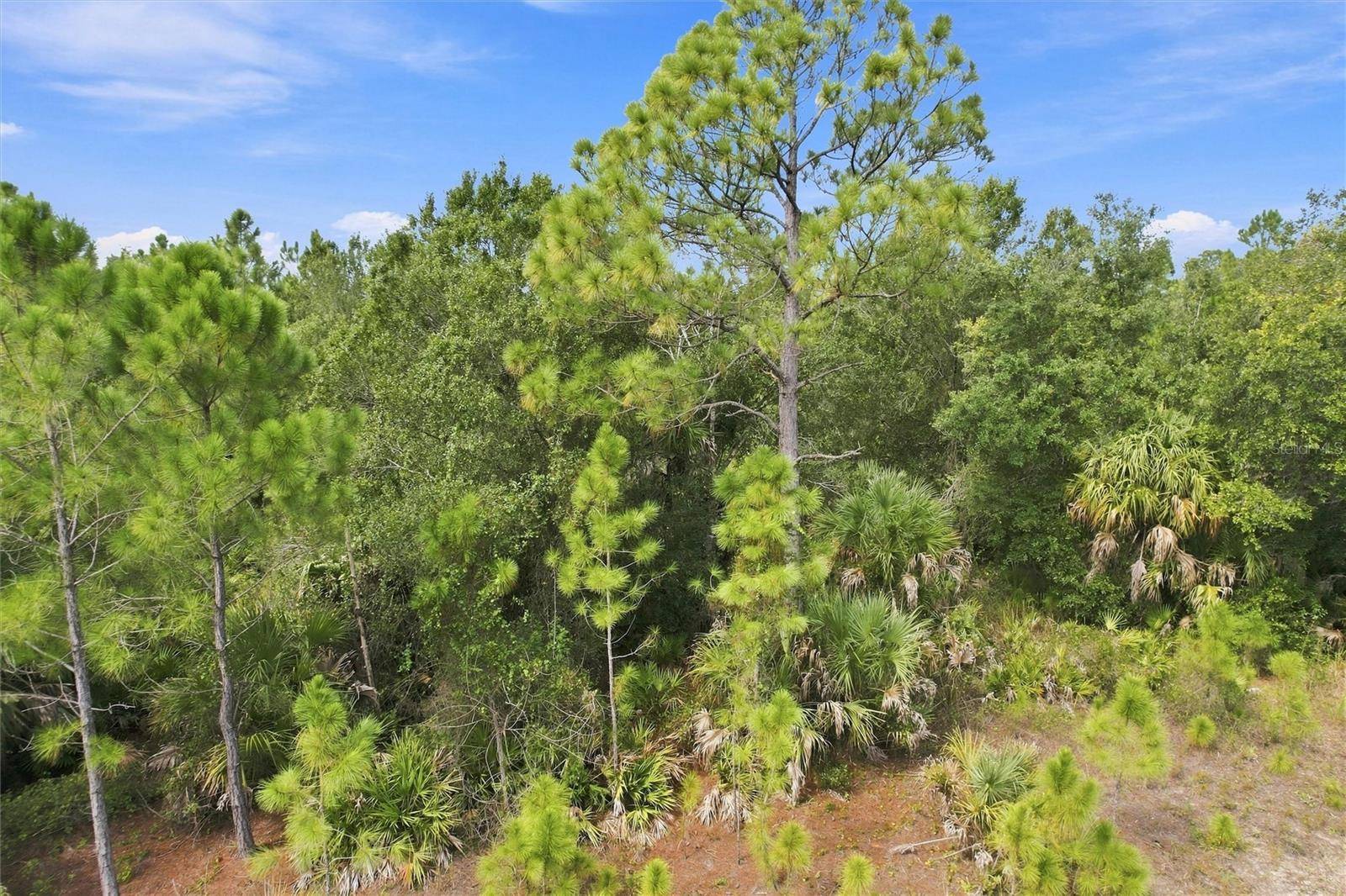 DUNMORE ST, North Port, FL 34288