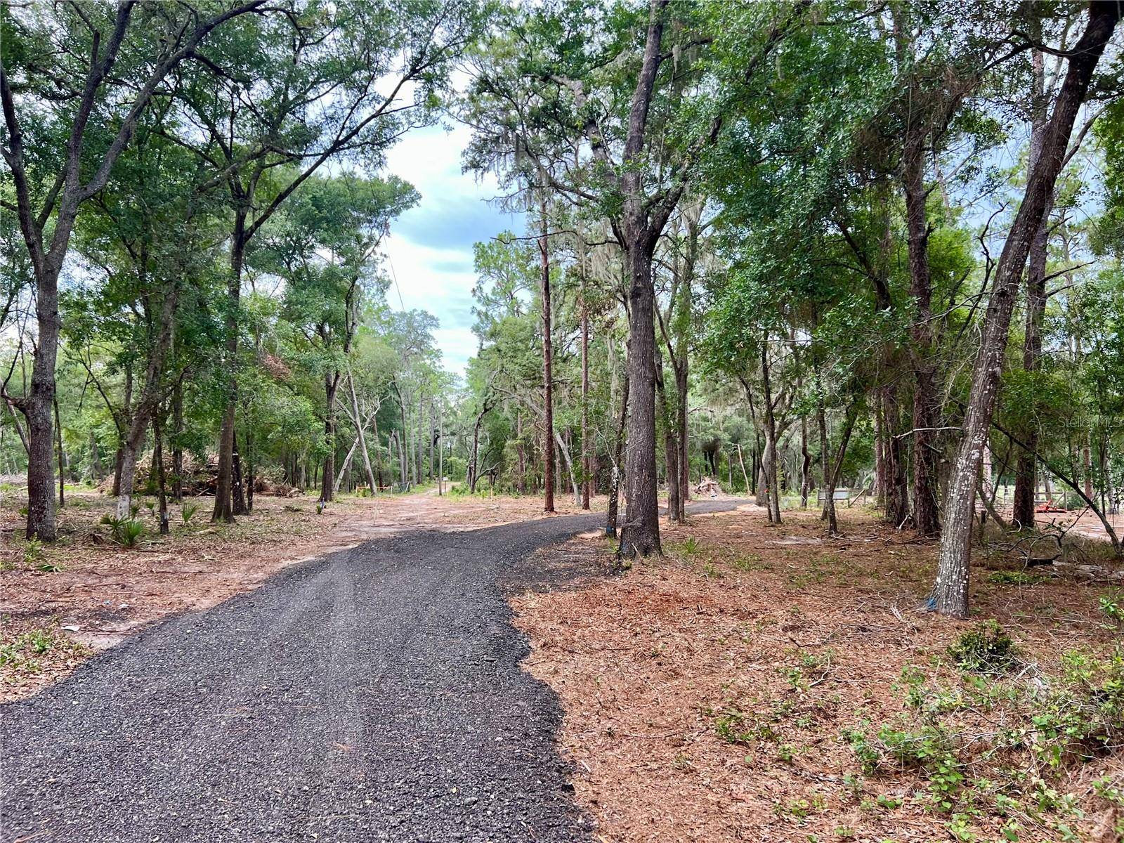 SE 152ND - LOT 16 (RAVENSWOOD RD) PARCEL B PL, Altoona, FL 32702