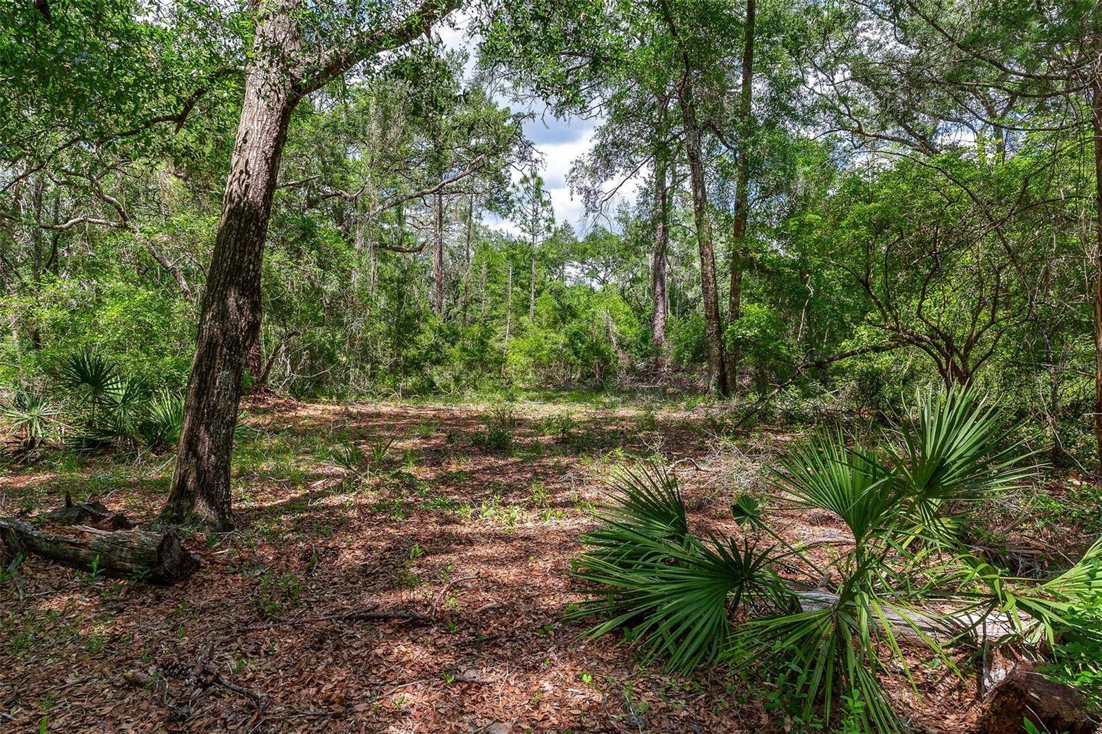 SE 152ND - LOT 16 (RAVENSWOOD RD) PARCEL B PL, Altoona, FL 32702