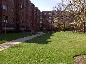 5310 N CHESTER AVE #209, Chicago, IL 60656