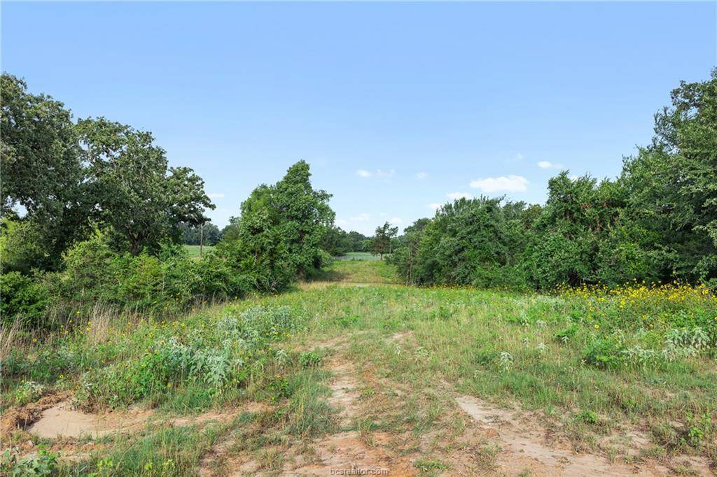 5163 County Road 358 RD, Gause, TX 77857
