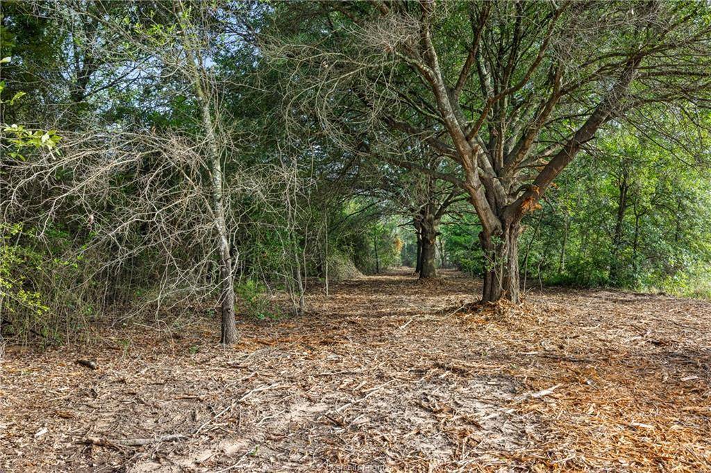 5163 County Road 358 RD, Gause, TX 77857