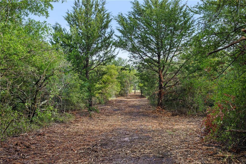 5163 County Road 358 RD, Gause, TX 77857