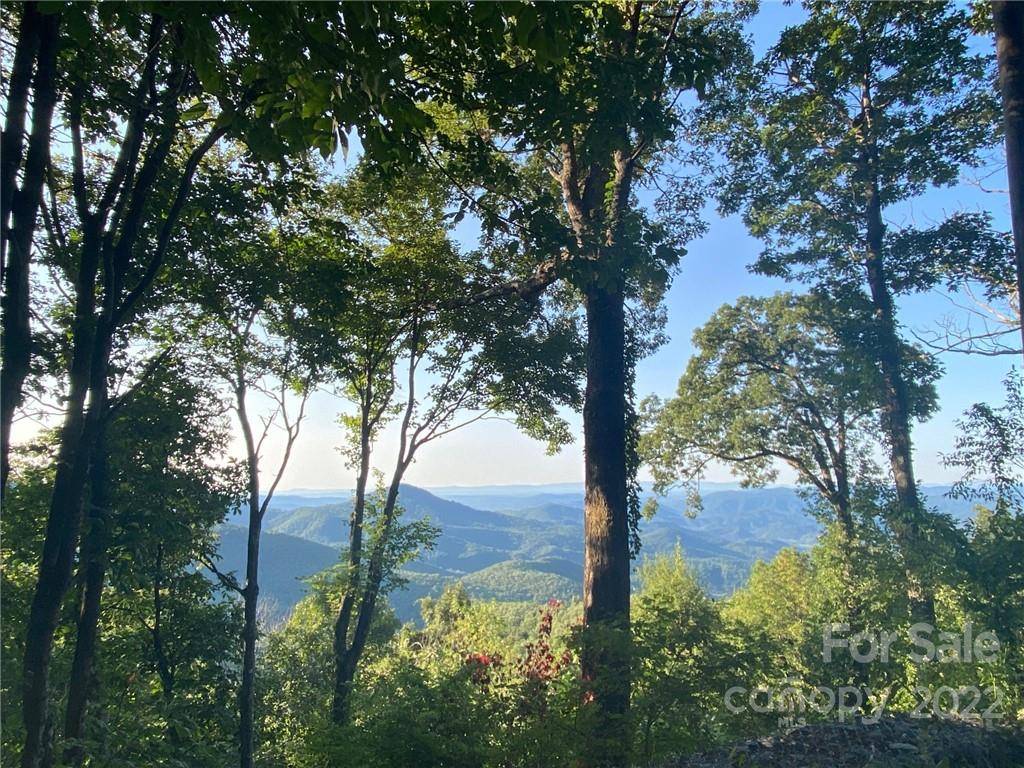 455 Dogwood LN, Blowing Rock, NC 28605