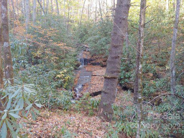 184 Settlers BND #A48B, Cullowhee, NC 28723