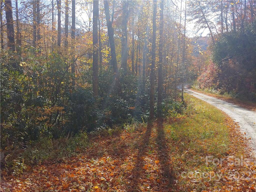 184 Settlers BND #A48B, Cullowhee, NC 28723