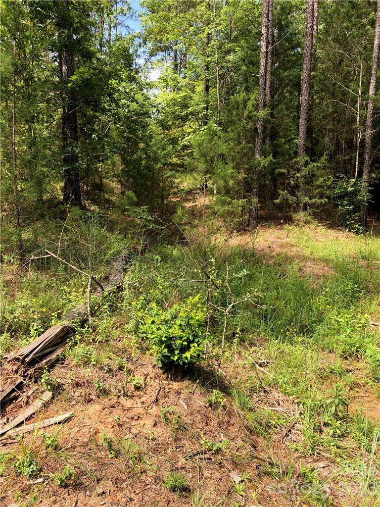 04 Serenity Shores Goings RD, Chester, SC 29706