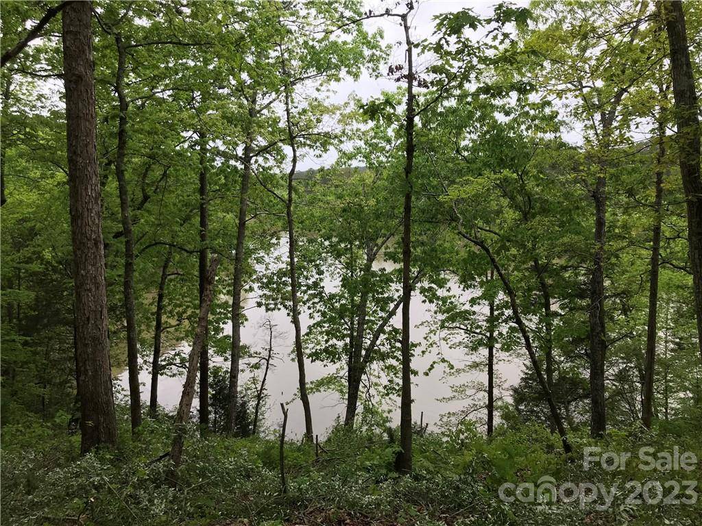 04 Serenity Shores Goings RD, Chester, SC 29706