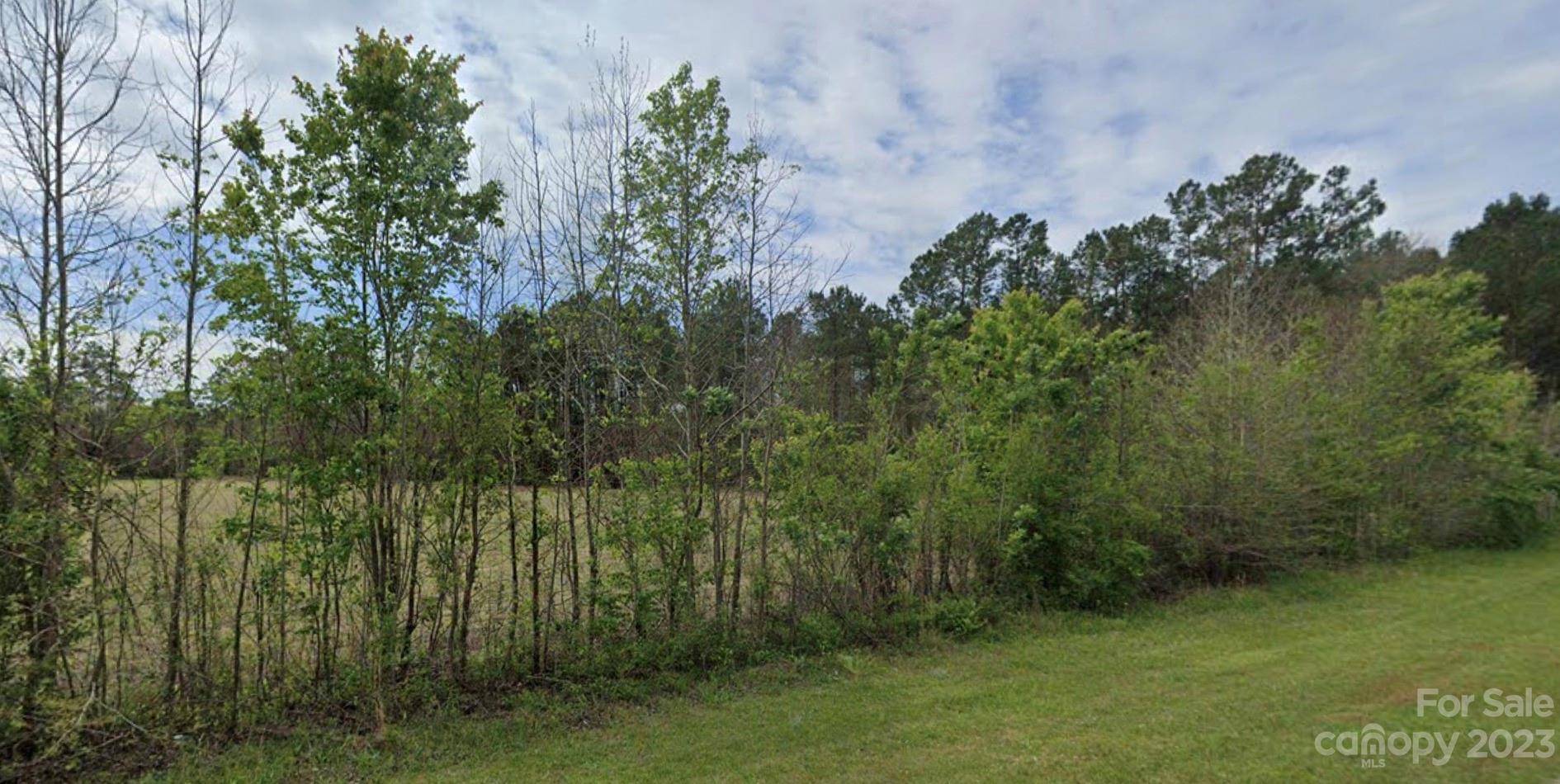 0 Bowman Branch HWY, Branchville, SC 29432