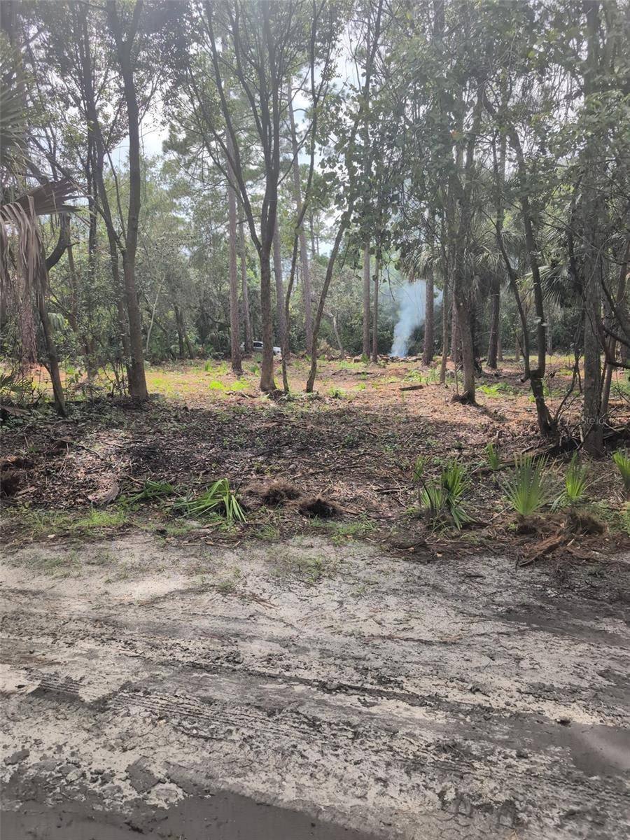 MARIE AVE, Deland, FL 32720