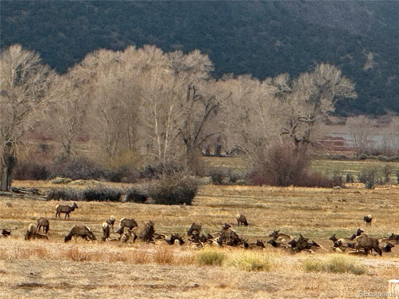 Lot 6976 Trinchera Ranch RD, Fort Garland, CO 81133