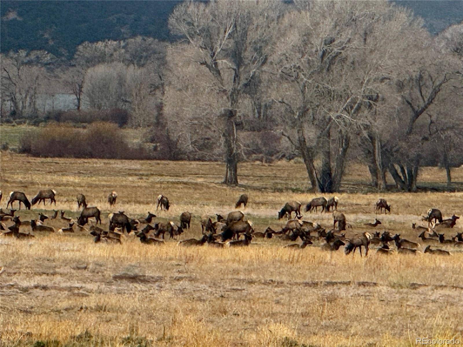 Lot 6976 Trinchera Ranch RD, Fort Garland, CO 81133