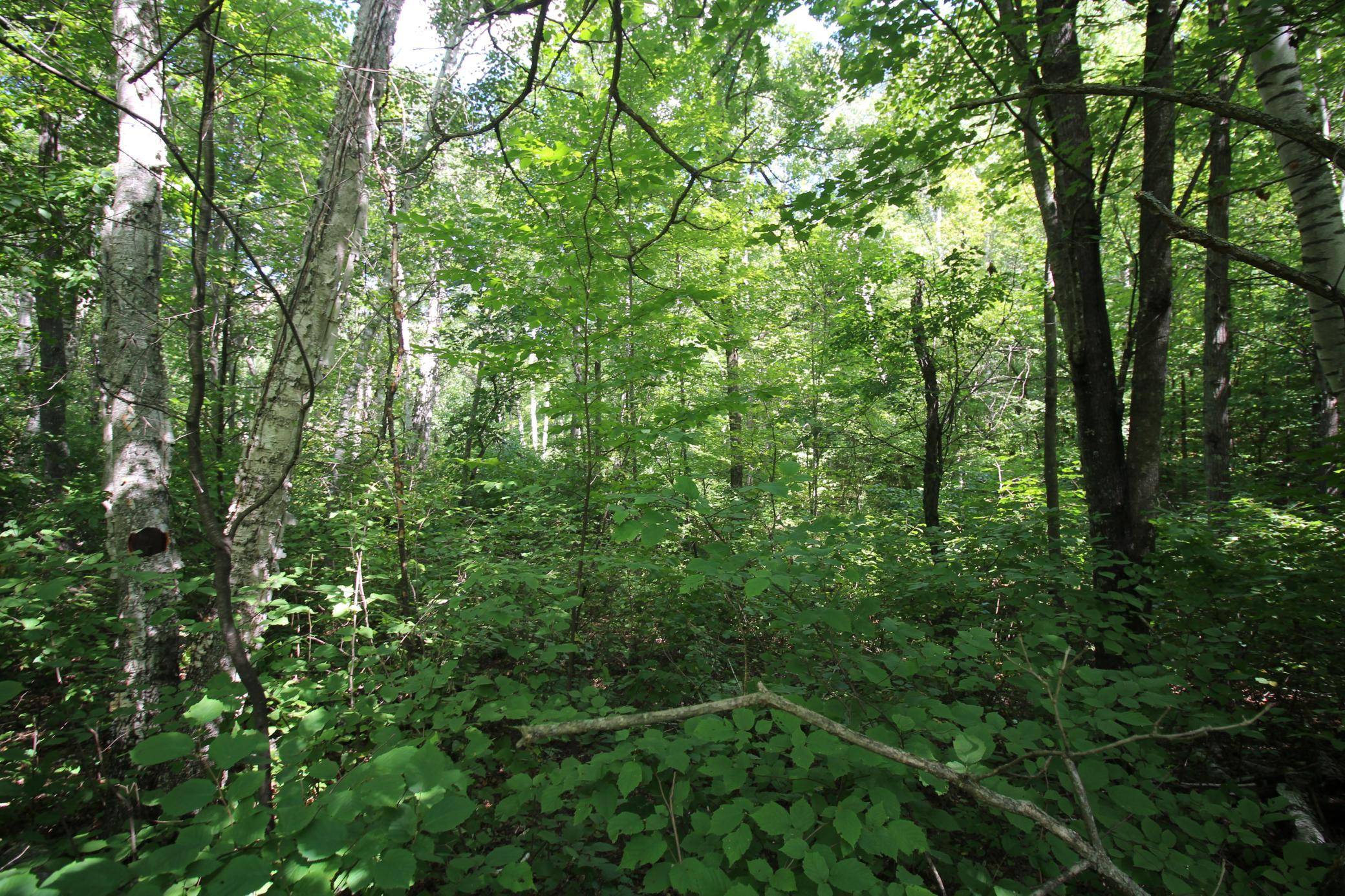 Lots 60, 61, 62 Sun Valley PASS, Breezy Point, MN 56472
