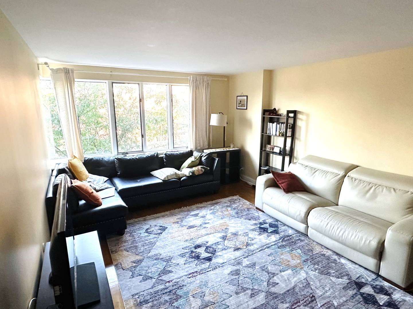 801 S PLYMOUTH CT #306, Chicago, IL 60605
