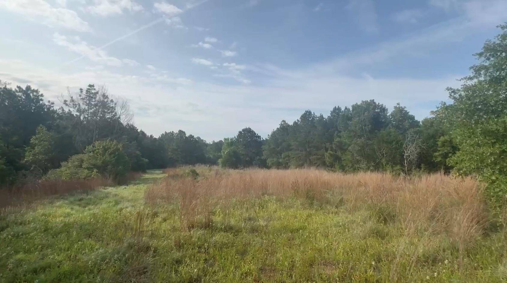 319 Matthew CV, Bastrop, TX 78602