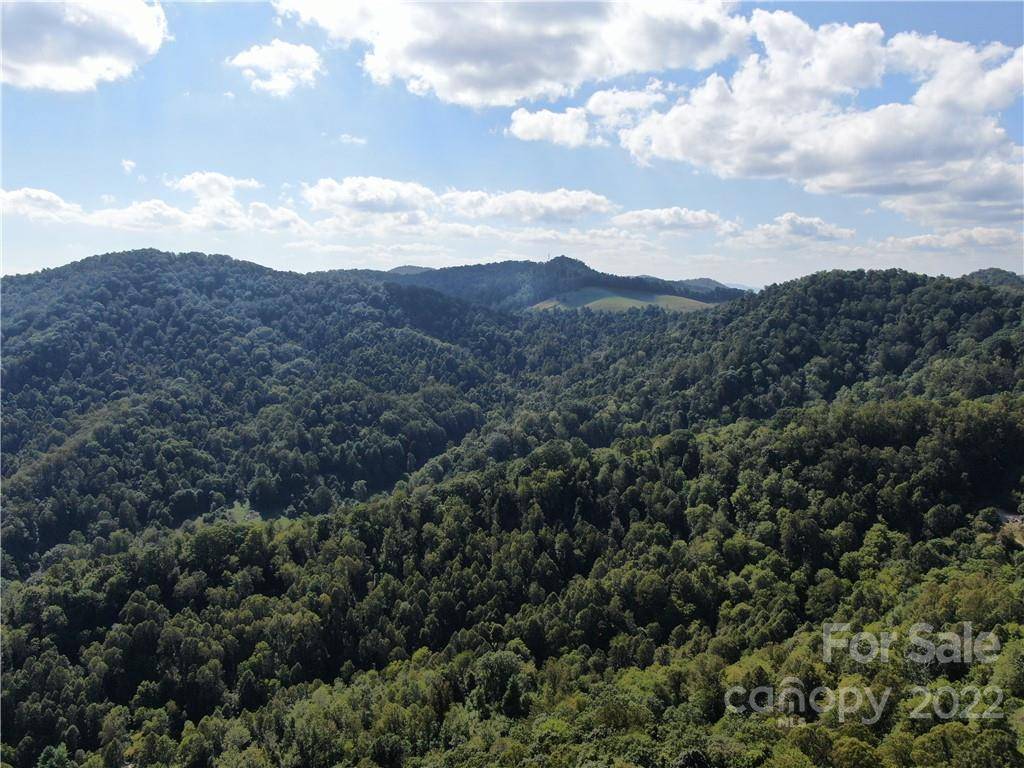 000 Granny Shepherd RD #5/Section 9, Mars Hill, NC 28754
