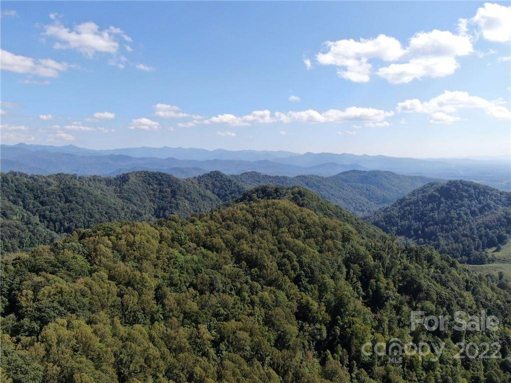 000 Granny Shepherd RD #5/Section 9, Mars Hill, NC 28754