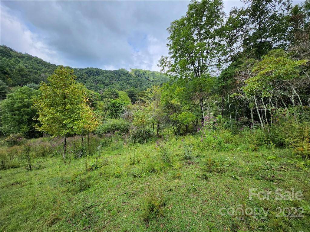 1108 Water Wheel CV, Clyde, NC 28721