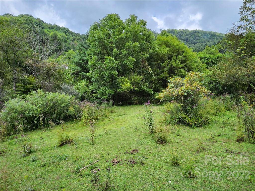 1108 Water Wheel CV, Clyde, NC 28721