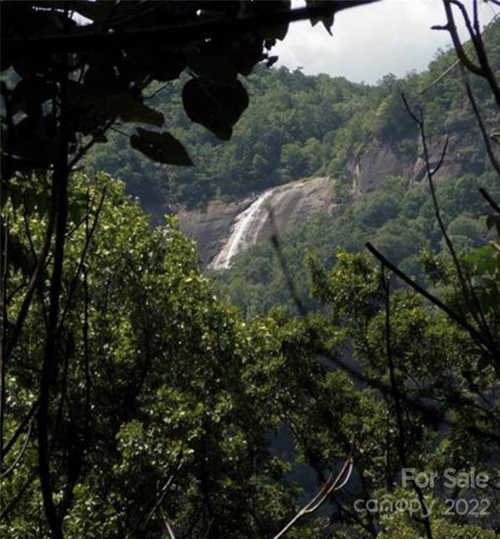 9 Cascada Vista DR #9, Chimney Rock, NC 28720
