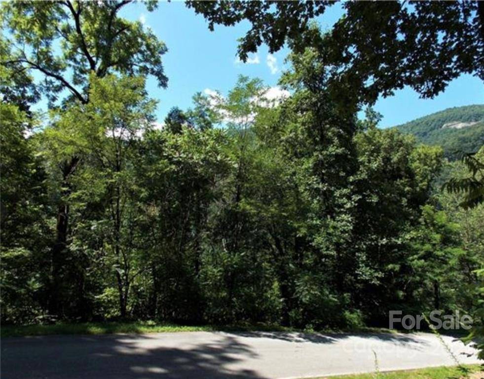 9 Cascada Vista DR #9, Chimney Rock, NC 28720
