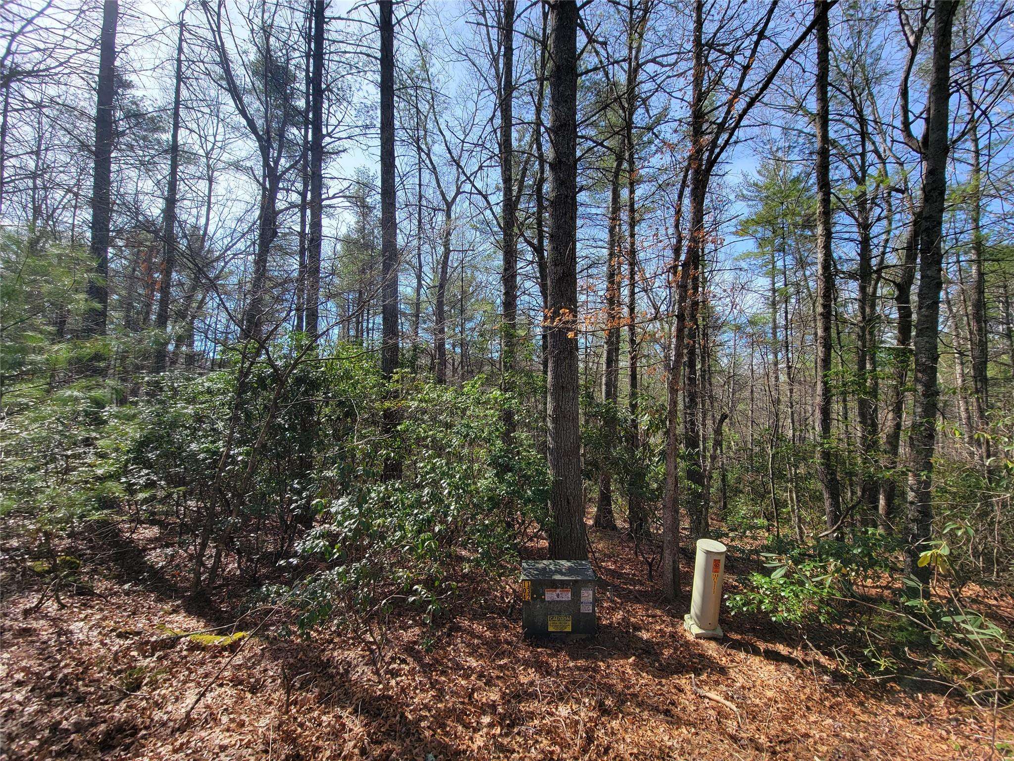 TBD Eagle DR, Fleetwood, NC 28626