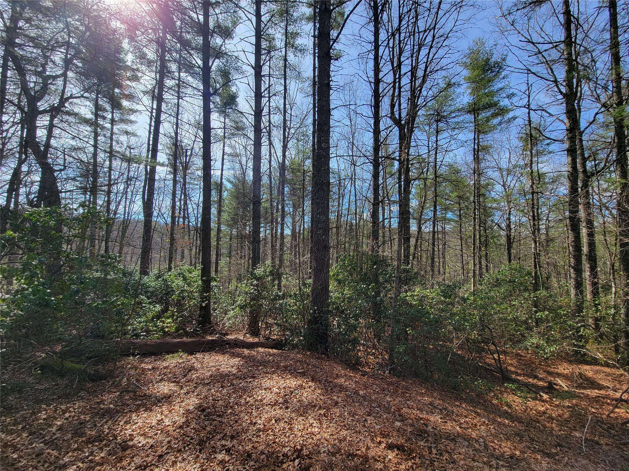 TBD Eagle DR, Fleetwood, NC 28626