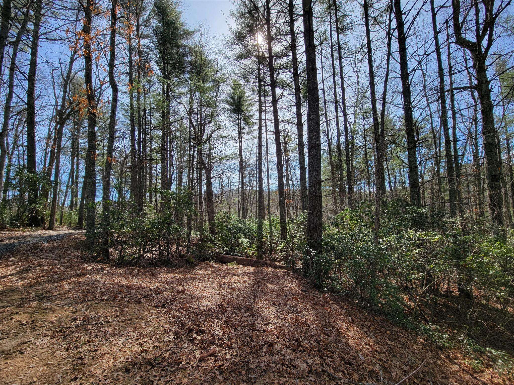 TBD Eagle DR, Fleetwood, NC 28626